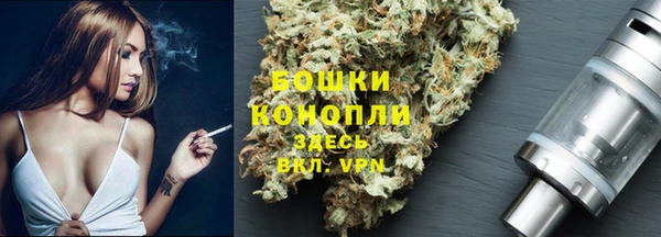 гашик Бронницы
